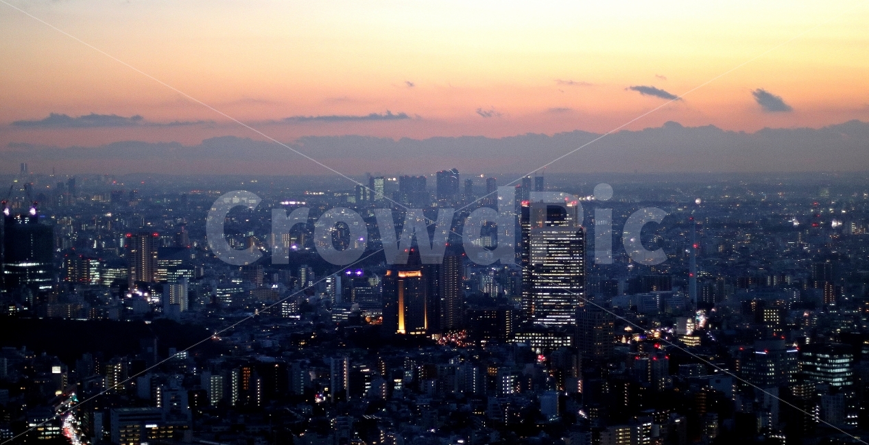 도시,전망,전망대,도쿄,야경,노을,겨울,불빛,도시,풍경,city,landscape,야경,밤,nightscape,night,해외,외국,세계,foreign,oversea,world,경치,nature,자연,outdoors,옥외,scenery,aerial view,조감도