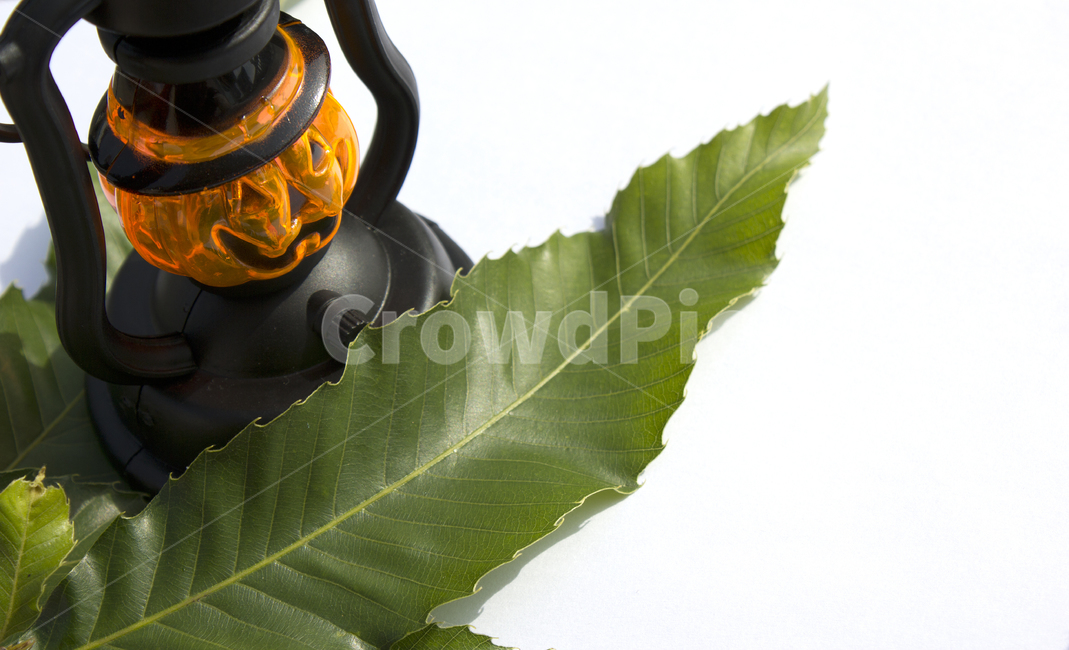 램프,호박,호박램프,할로윈,가을,전등,조명,소품,흰배경,생활용품,생활소품,조명기기,호박얼굴,검정,검은색,블랙,주황색,주황,잎,잎사귀,나뭇잎,이파리,녹색,그린,초록색,축제,행사,festival,carnival,event