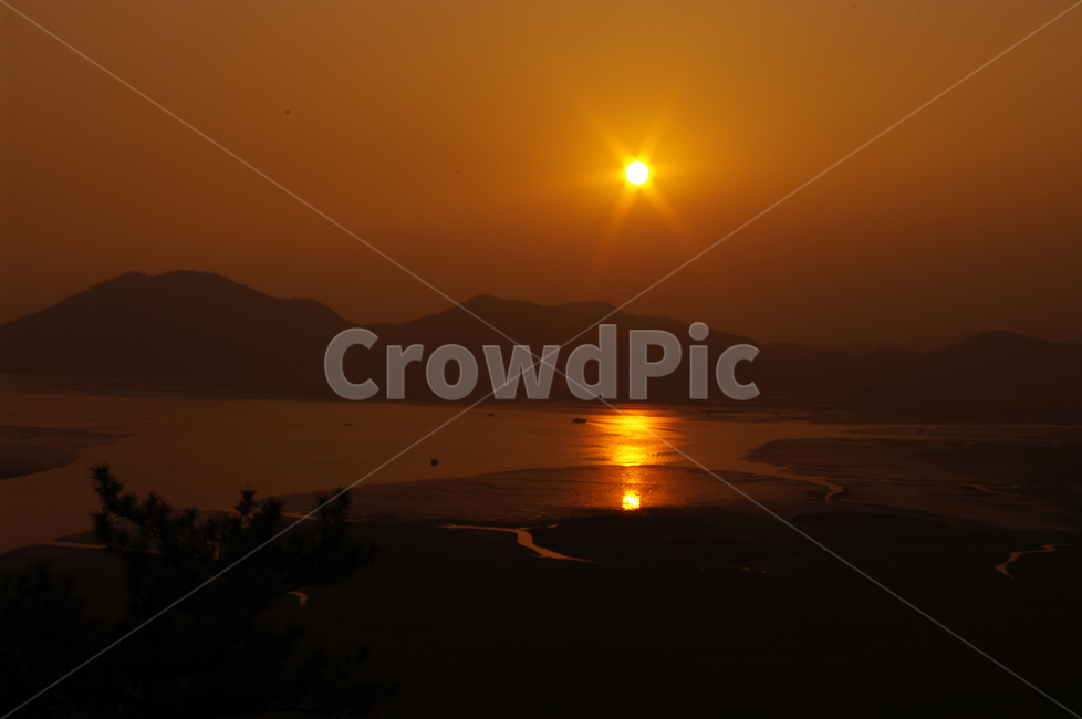 순천만,일몰,석양,노을,풍경,갈대밭,자연,풍경,nature,landscape,한국자연풍경,한국자연경관,korea nature landscape,sunlight,햇빛,light,빛,flare,플레어,dawn,새벽,sky,하늘,red sky,붉은 하늘,sunset,dusk,황혼,outdoors,옥외