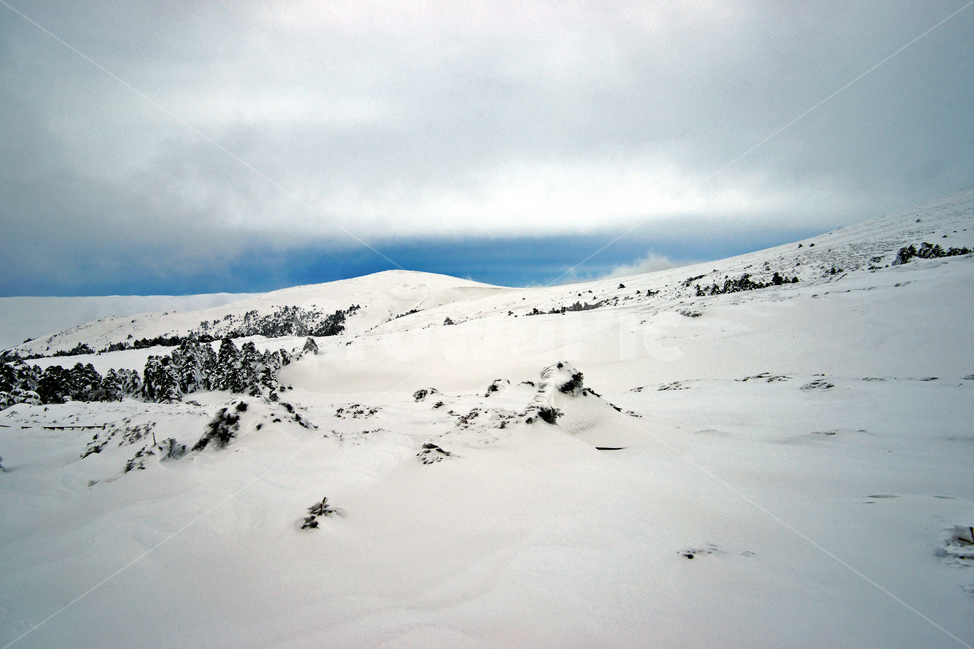 겨울산,한라산,제주도,설경,어리목코스,설산,한라산설경,겨울,눈,겨울,계절,winter,season,자연,풍경,nature,landscape,한국자연풍경,한국자연경관,korea nature landscape