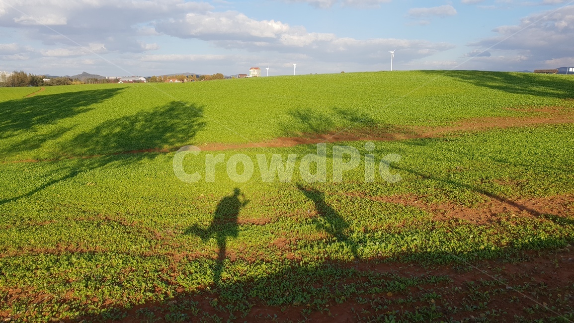 nature,자연,grassland,옥외,목초지,outdoors,들,연애,사랑