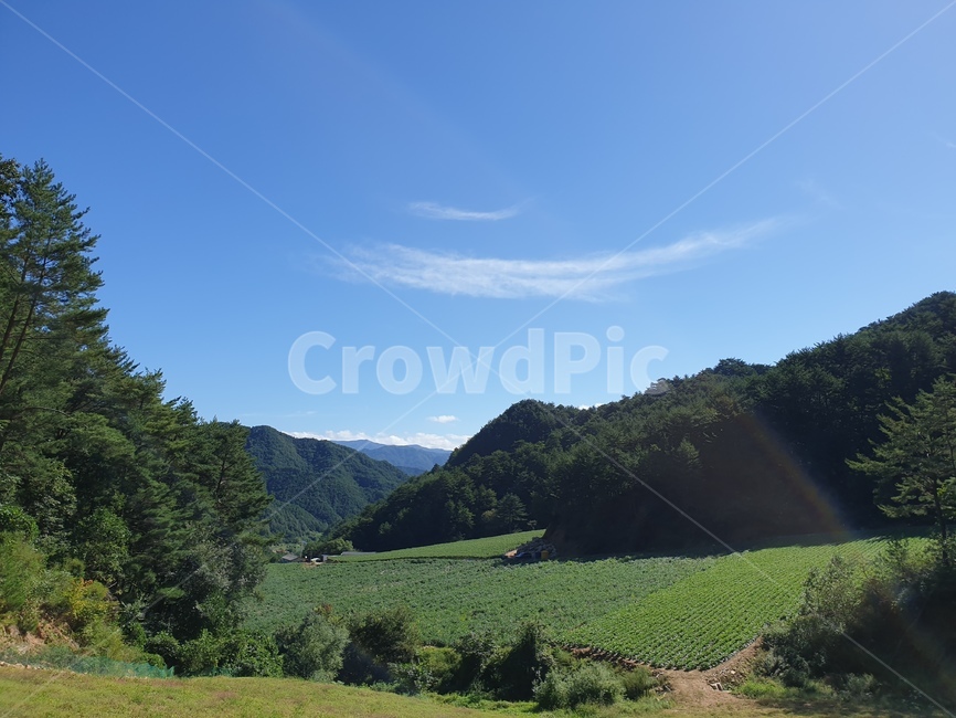 nature,자연,강원도,밭,구름,무지개,산