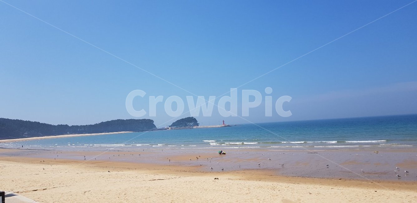 해변,해안선,ocean,자연,nature,바다,shoreline,해변,바다,beach,sea