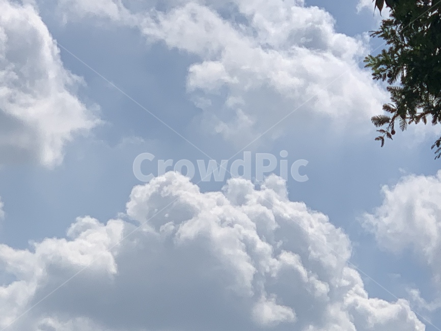 nature,자연,weather,날씨,cloud,구름,sky,하늘,자연,풍경,nature,landscape,outdoors,옥외,cumulus,적운