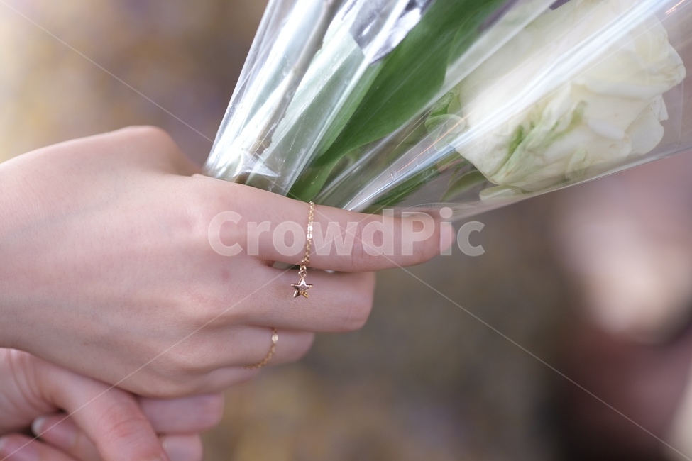 선물,축하,꽃,식물,flower,foryou,꽃다발,자연,nature,설렘,꽃,flower,사람,인물,인간,human,person,신체일부,몸,body,기념일,축하,anniversary,congratulation,celebrate,celebration