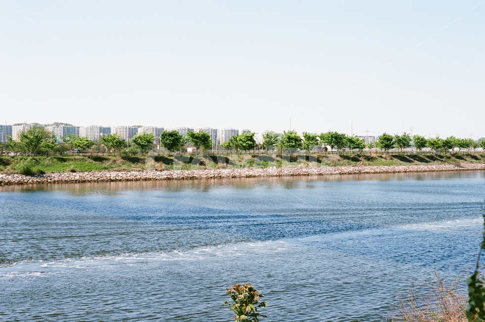 water,nature,자연,outdoors,한강,강,옥외