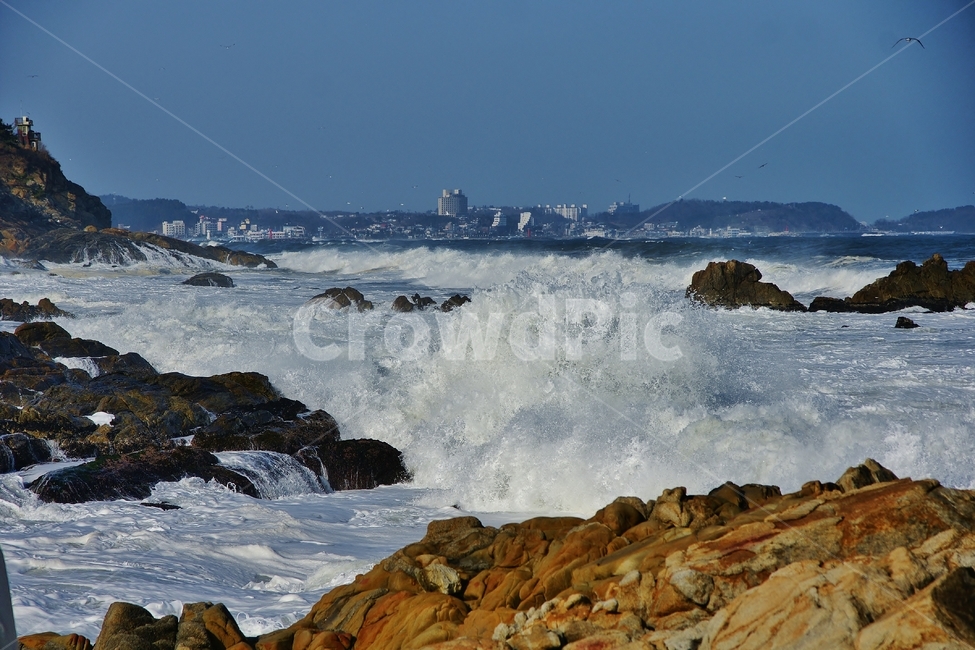바다,파도,풍경,낙산사,동해안,자연,풍경,nature,landscape,ocean,대양,water,물,sea,outdoors,옥외