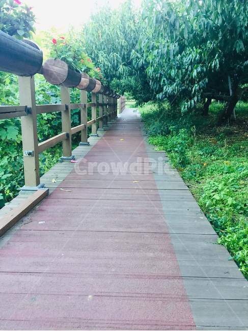 outdoors,옥외,path,통로,garden,정원,arbour,정자