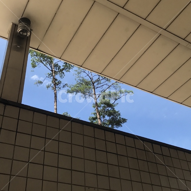 하늘,구름,나무,sky,tree,지하철출입구,2호선
