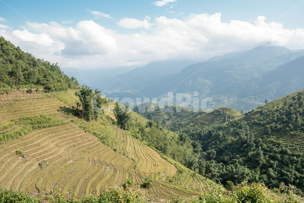 베트남,사파,계단식논,산,하늘,자연,vietnam,sapa,sky,blue,자연,풍경,nature,landscape,해외,외국,세계,foreign,oversea,world,세계자연풍경,해외자연풍경,외국자연풍경,world nature landscape