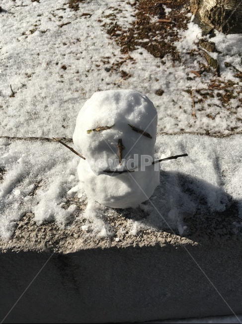 겨울,계절,눈,눈사람,추억,표정,나뭇가지,winter,snow,겨울,계절,winter,season