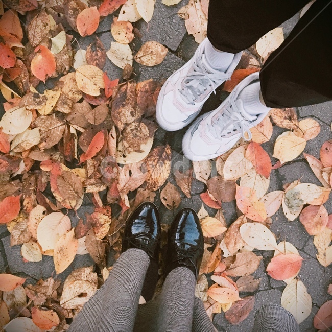 발,가을,신발,낙엽,계절,자연,나뭇잎,가을,계절,fall,autumn,season