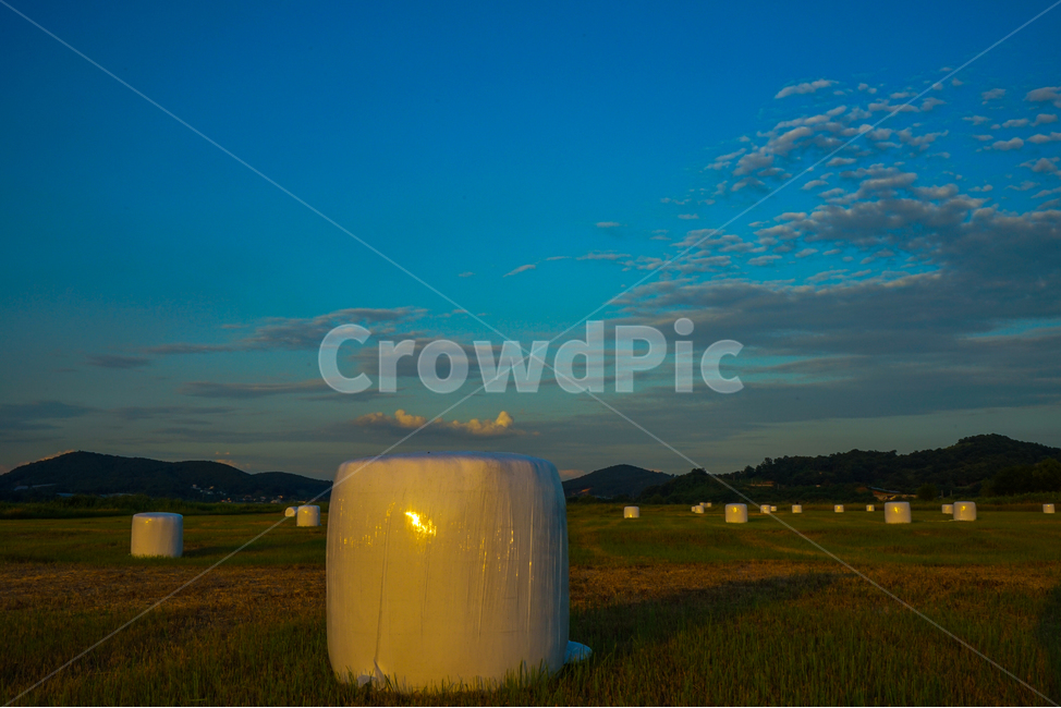 들,들판,사료,뭉치,하늘,구름,산업,industry,industrial,농업,농사,agriculture,farming,farming industry