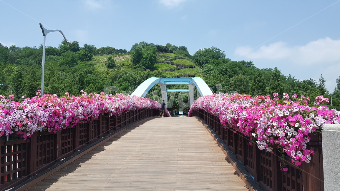길,산책,공원,자연,꽃길,식물,자연,plants,nature,꽃,flower