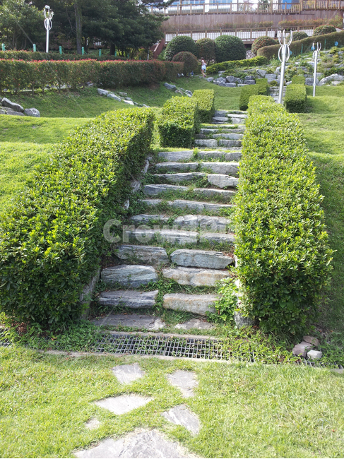 정원,garden,초록,green,계단,돌계단,stairs