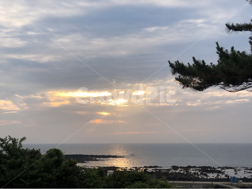 하늘,제주,경치,자연,풍경,자연,풍경,nature,landscape,한국자연풍경,한국자연경관,korea nature landscape,제주도,jeju,jeju island,tree,나무,plant,식물