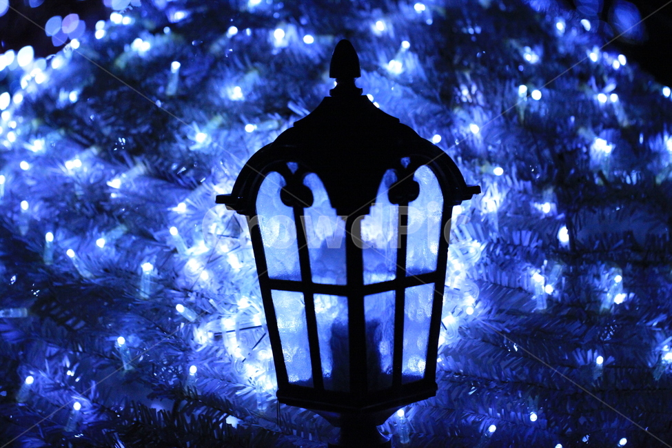 가로등,빛,조명,실루엣,보라빛,야경,밤,풍경,nightscape,night,landscape