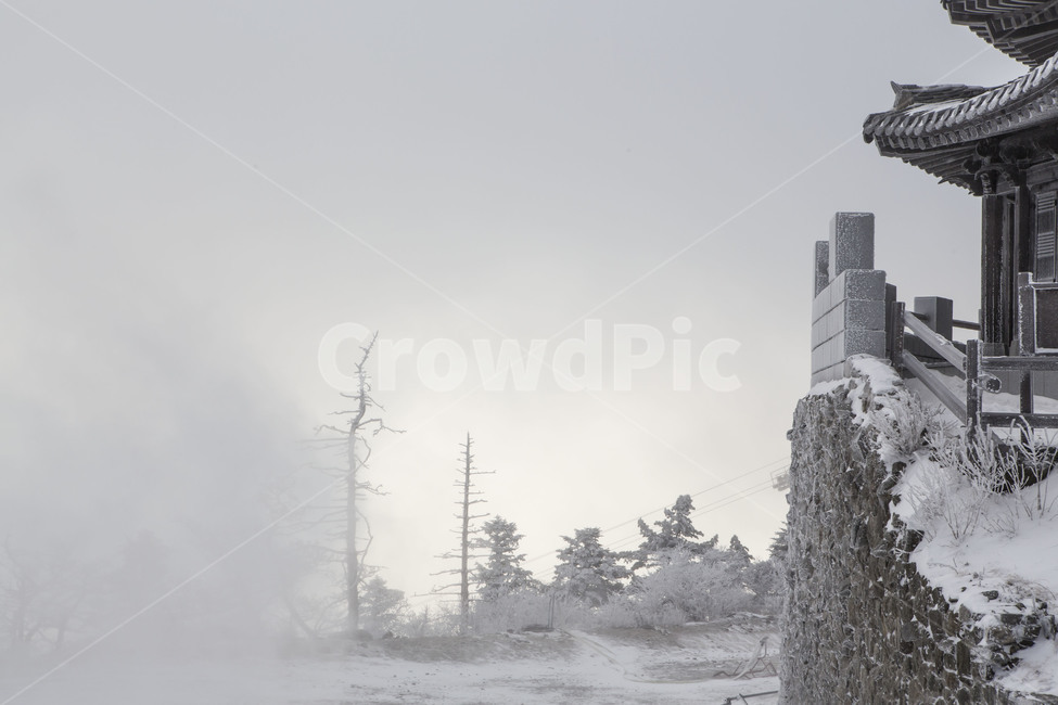 눈보라,눈꽃,풍경,자연,비목,겨울,계절,winter,season,자연,풍경,nature,landscape,한국자연풍경,한국자연경관,korea nature landscape,한국전통,한국문화,korean traditional,korean culture,건축물,건물외관,exterior,building,structure,architecture,construction,outdoors,옥외