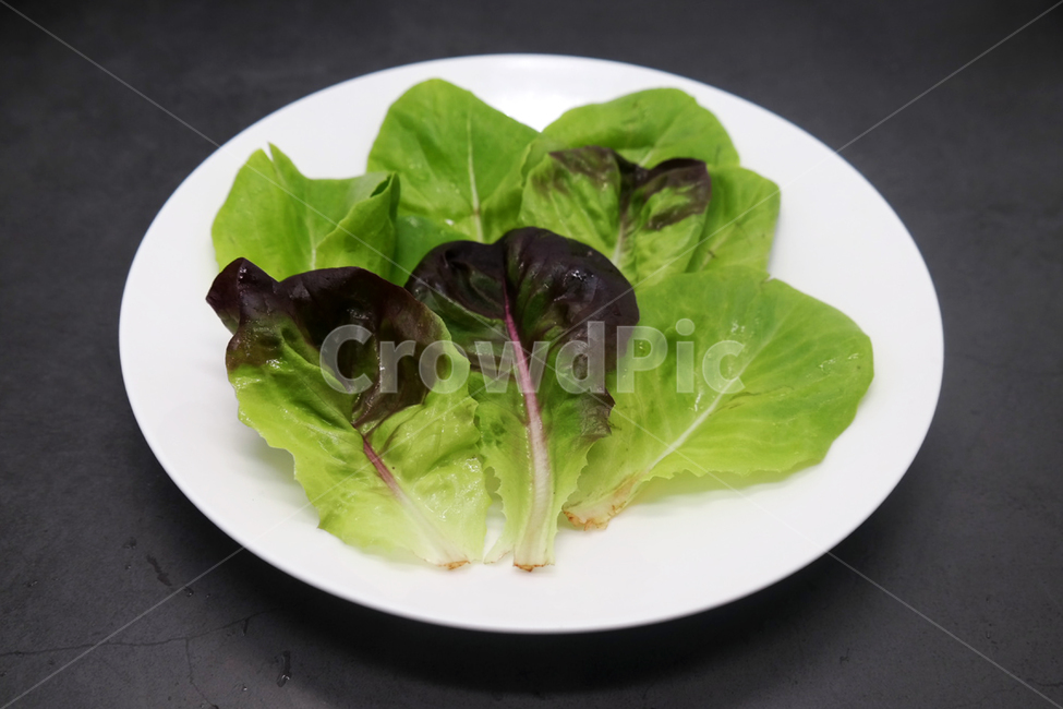 채식,채식주의자,야채,채소,식물,건강,샐러드,상추,채소,야채,vegetables