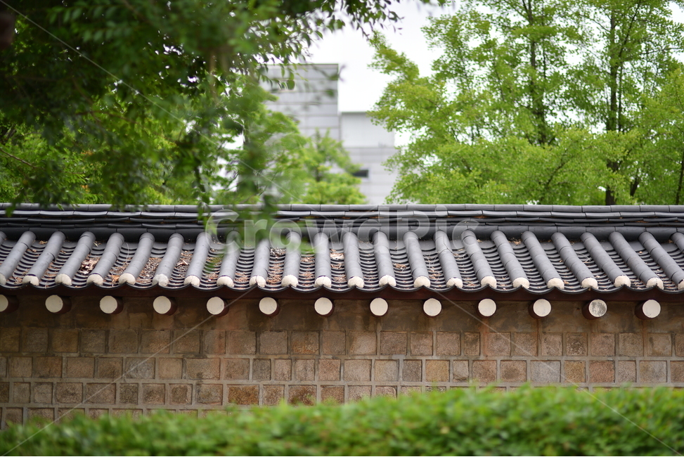 전통담장,힐링,나무와돌담,돌담,기와벽,전통벽,전통돌담,수풀,도시속전통,도시전통,전통도시,건물,전통,옛건물,옛담장,옛돌담,한국전통,한국문화,korean traditional,korean culture,건축물,건물외관,exterior,building,structure,architecture,construction