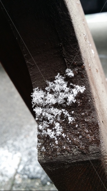 눈,그네,겨울,녹는눈,물,snow,wood,melting