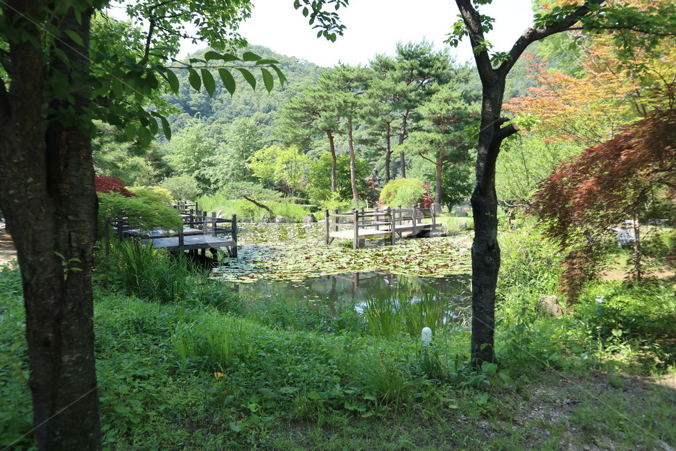 연못,경치,휴식,나들이,화려한,화사한,자연,풍경,nature
