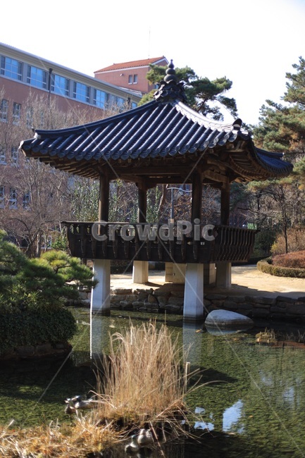 연못,정자,기와집,물,집,쉼터