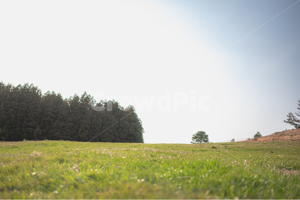 구름,풀,풀밭,산책,감성,road,제주도,하늘,초원,sky,nature,grass,휴식,rest,relaxation,grassland,목초지,field,들,옥외,outdoors,자연
