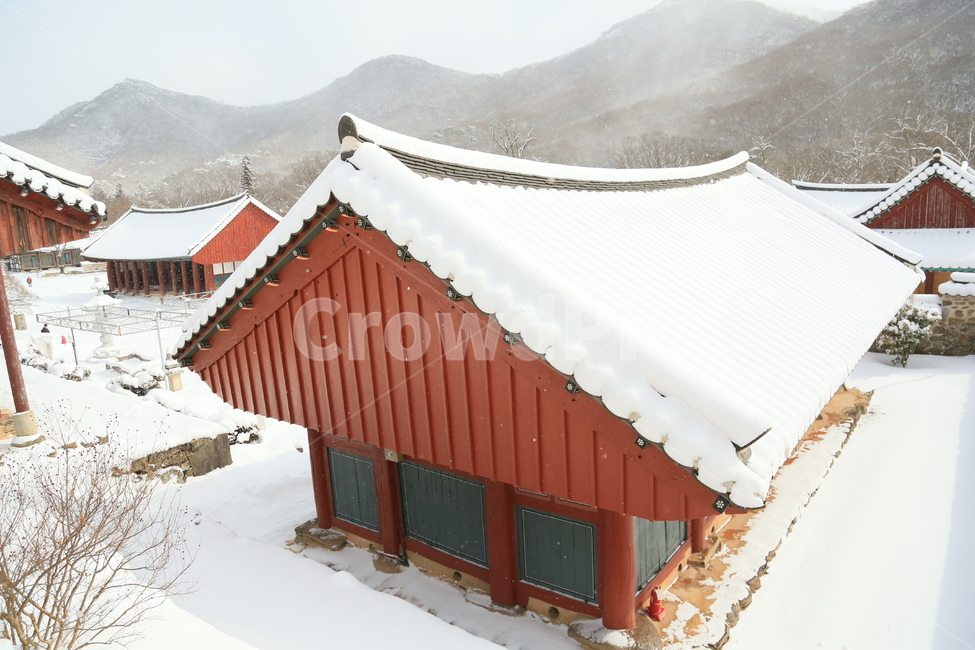 고창,선운사,선운사설경,설경,겨울,겨울,계절,winter,season,한국전통,한국문화,korean traditional,korean culture,종교,신앙,religion,belief,faith,건축물,건물외관,exterior,building,structure,architecture,construction