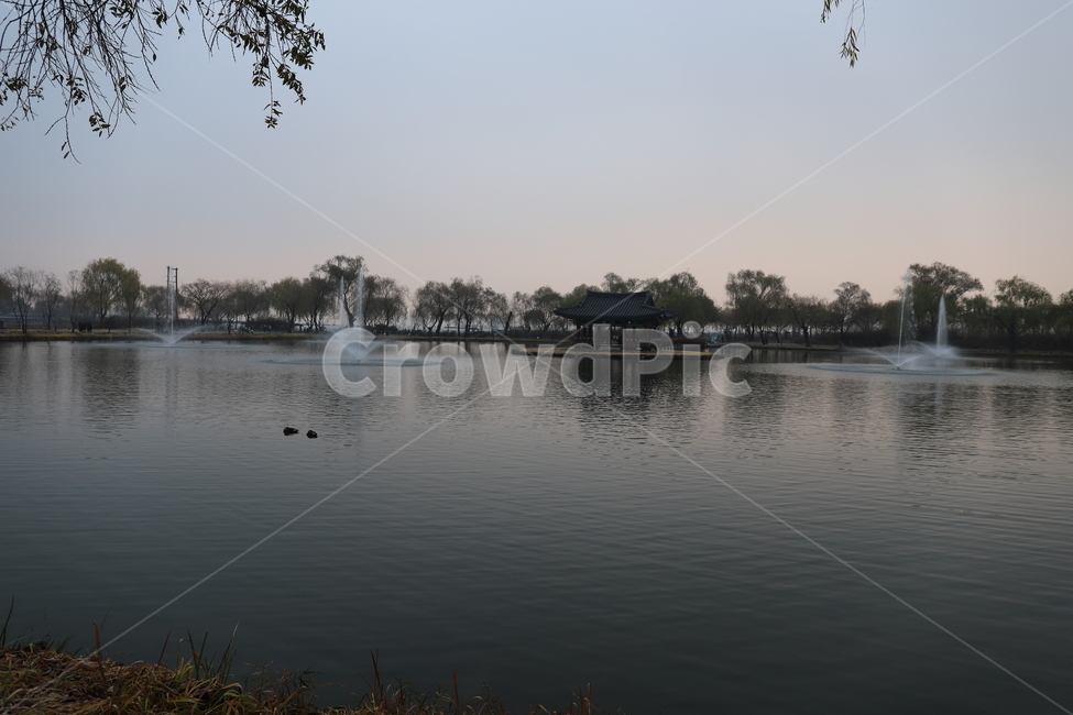 water,물,nature,자연,outdoors,옥외,궁남지,충남,충청남도,백제,백제유적,유적,사적지,사적,호수,연못,정원,버드나무,조경,부여군