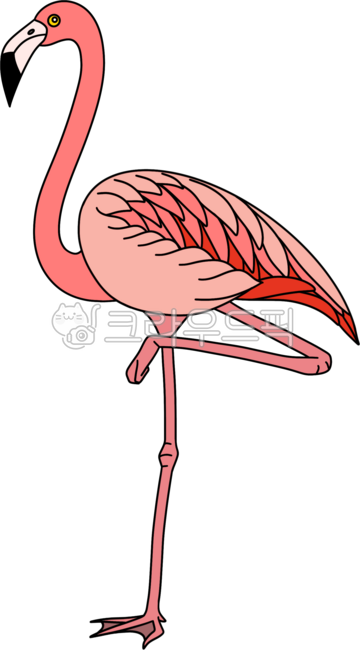 동물, 동물일러스트, 동물캐릭터, animal, 플라밍고, 사진,이미지,일러스트,캘리그라피 - 라니란88작가
