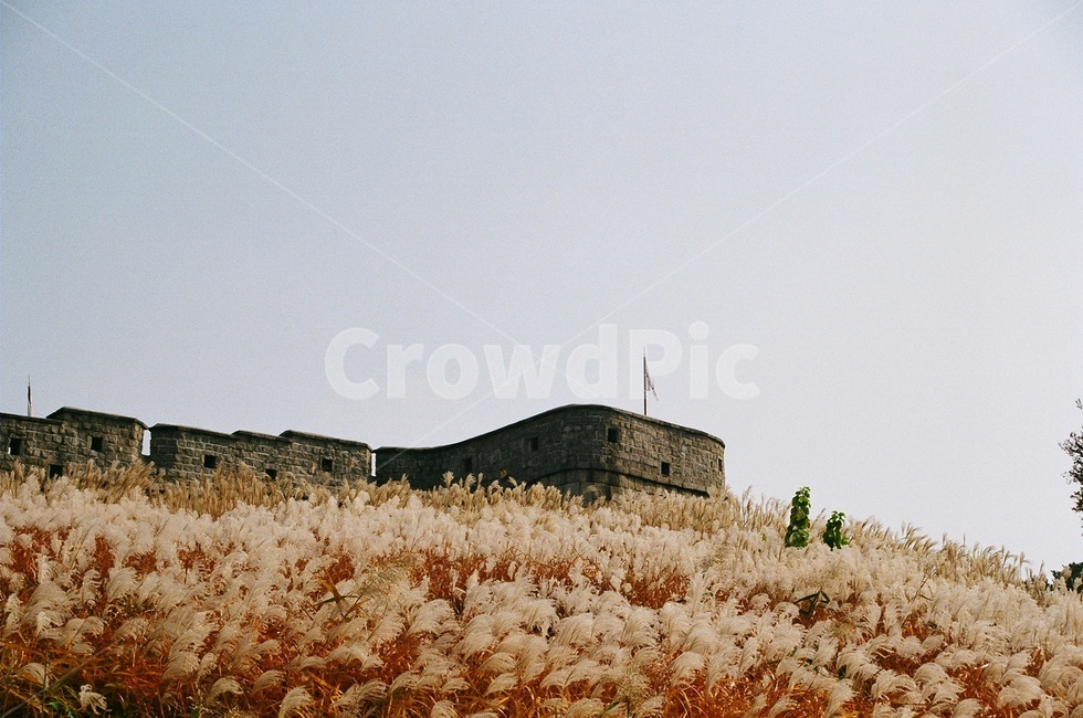 계절,풍경,자연,갈대밭,필름,감성,fall,season,landscape,nature,reeds,film,sensitivity,가을,갈대,가을,계절,fall,autumn,season,한국전통,한국문화,korean traditional,korean culture,건축물,건물외관,exterior,building,structure,architecture,construction