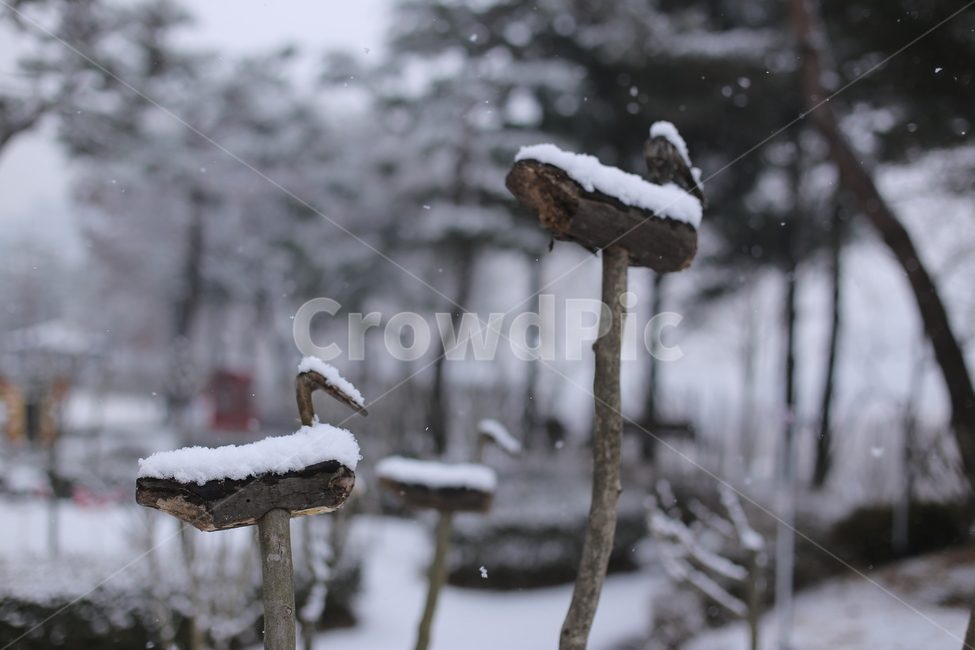겨울,눈,눈오는날,snow,winter,풍경,감성,화이트,추위,폭설,설경,겨울,계절,winter,season