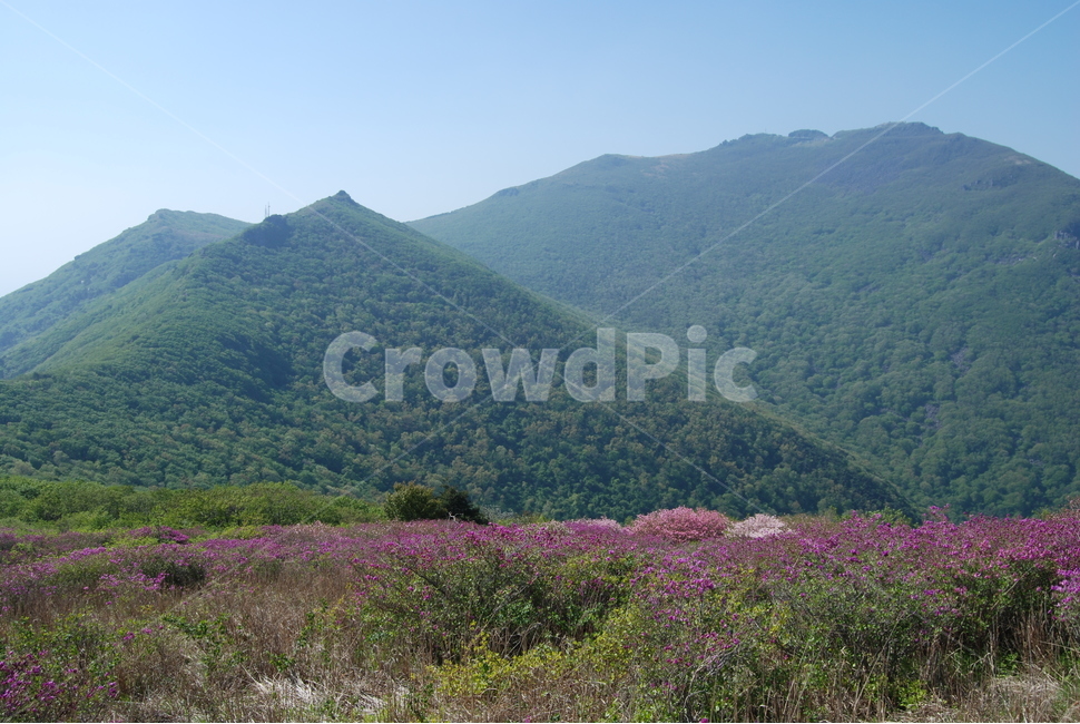 무등산,공원,등산로,명산,봄,자연,풍경,nature,landscape,한국자연풍경,한국자연경관,korea nature landscape,outdoors,옥외