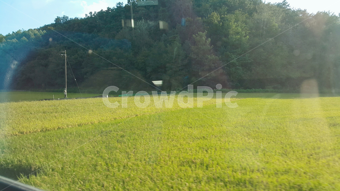 논,산,해,맑은날,농촌,자연,풍경,nature,landscape,field,들,outdoors,옥외,grassland,목초지,grass,잔디,plant,식물,farm,농장,rural