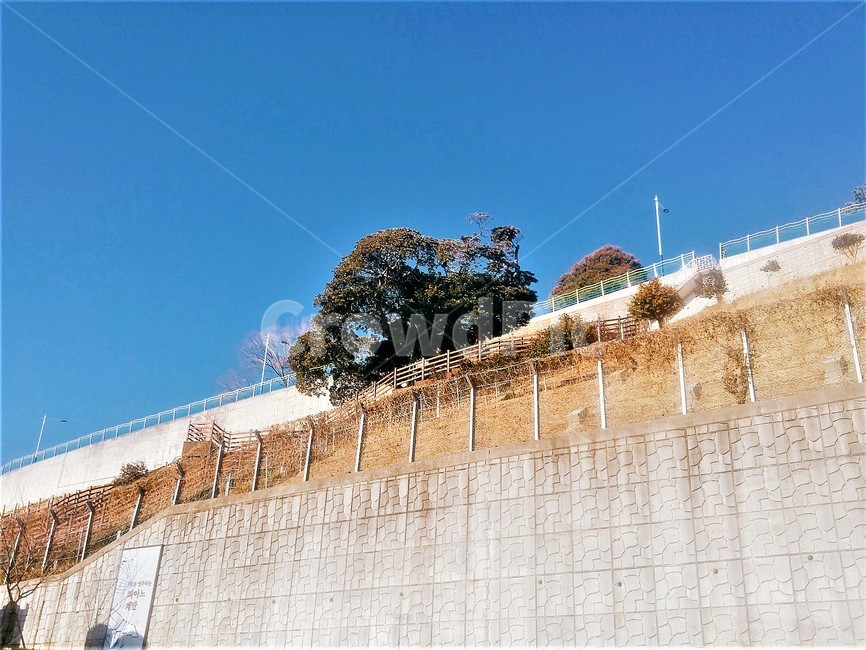 벽,나무,하늘,풍경,wall