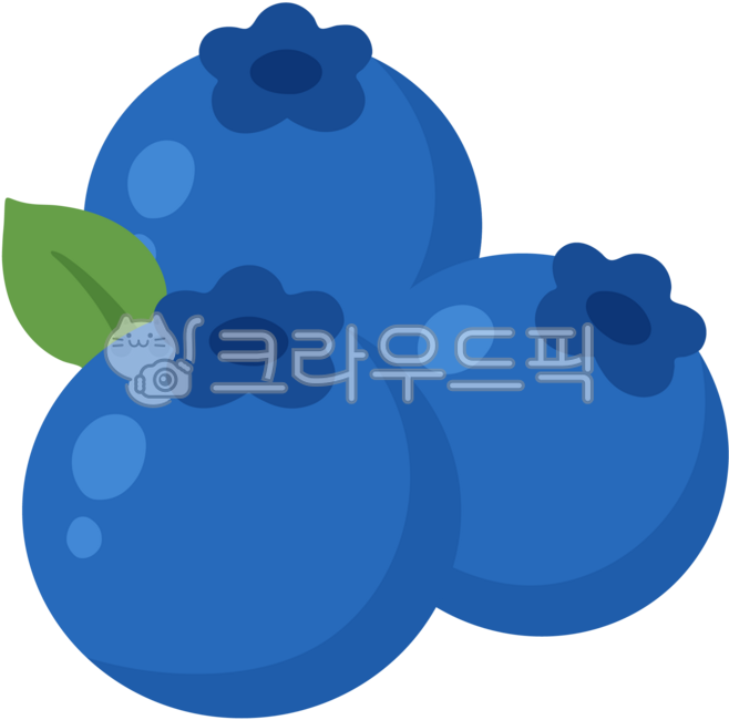 블루베리,블루배리,과일,열매,귀여운,블루베리일러스트,블루베리그림,블루베리이미지