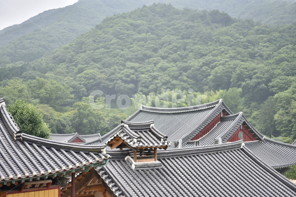 기와,사찰,풍경,절,지붕,roof,temple,기와집,한국전통,한국문화,korean traditional,korean culture,건축물,건물외관,exterior,building,structure,architecture,construction