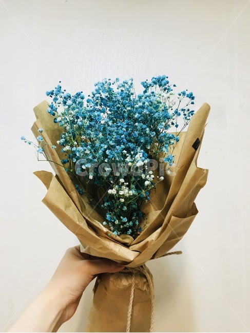안개꽃,꽃,선물,꽃다발,파란색,사랑,안개,기념일,자연,flower,blue,식물,색상,색감,꽃,flower,기념일,축하,anniversary,congratulation,celebrate,celebration