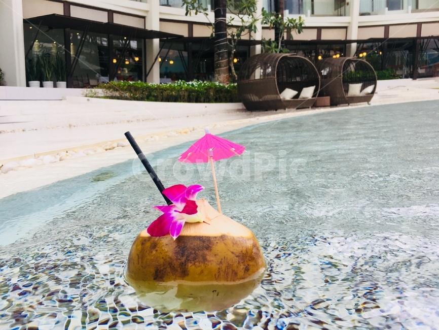 resort,리조트,코코넛,코코넛음료,수영장,여름,summer,휴양지,힐링,음료수,drink,beverage