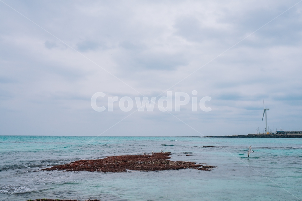 제주도,바다,겨울바다,월정리,파도,해변,제주,모래사장,모래,풍경,자연,korea,jeju,sea,wave,wintersea,자연,풍경,nature,landscape,한국자연풍경,한국자연경관,korea nature landscape,해변,바다,beach,sea,제주도,jeju,jeju island,promontory,곶,outdoors,옥외,water,물,ocean,대양,land,땅