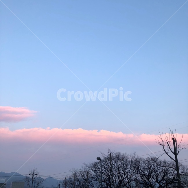 하늘,파랑,구름,나무,노을,부산