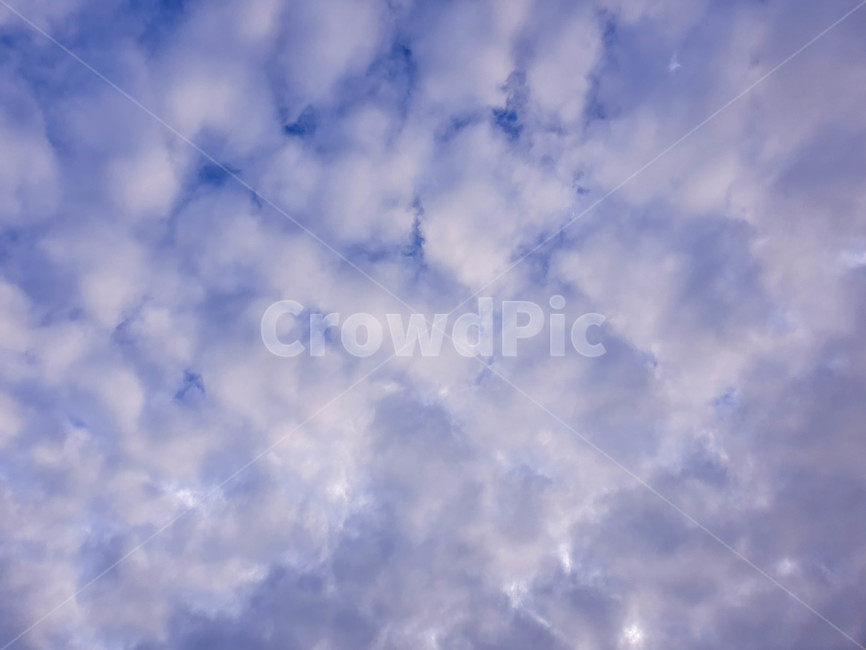하늘,구름,야외,해질녘,권적운,고적운,자연,sky,nature,clouds,cloud,자연,풍경,nature,landscape,outdoors,옥외