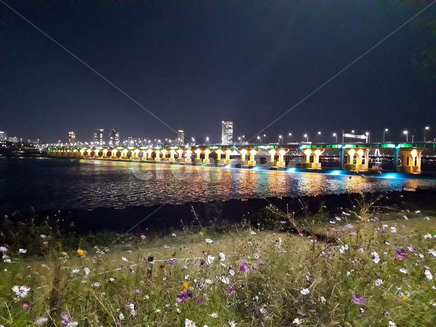 한강,야경,다리,산책,고수부지,코스모스,야경,밤,풍경,nightscape,night,landscape,도시,city,한국도시풍경,한국도시경관,korea cityscape