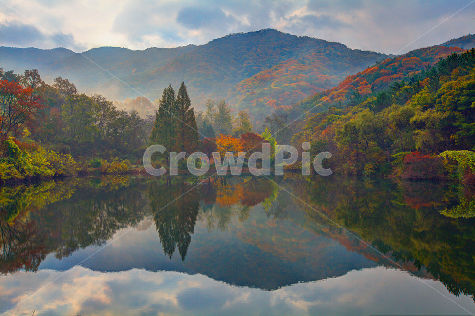 반영,가을,물안개,단풍,감성,가을,계절,fall,autumn,season,자연,풍경,nature,landscape,한국자연풍경,한국자연경관,korea nature landscape,tree,나무,plant,식물,outdoors,옥외,abies,아비,fir,전나무,water,물,art,미술,painting,그림