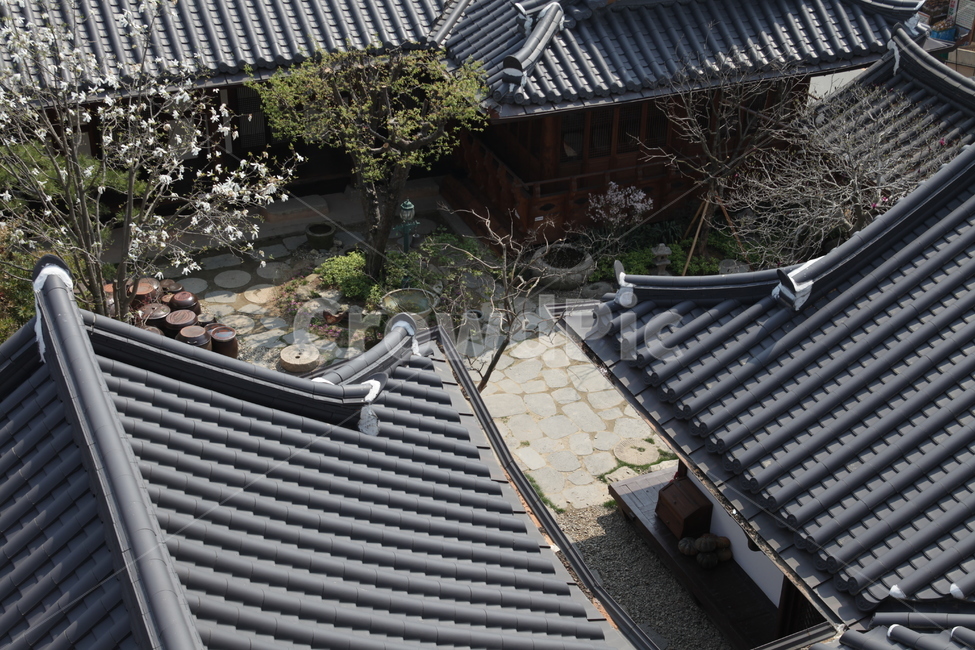 전주,한옥,한국,전통,마당,기와,지붕,기와지붕,한국전통,한국문화,korean traditional,korean culture,건축물,건물외관,exterior,building,structure,architecture,construction
