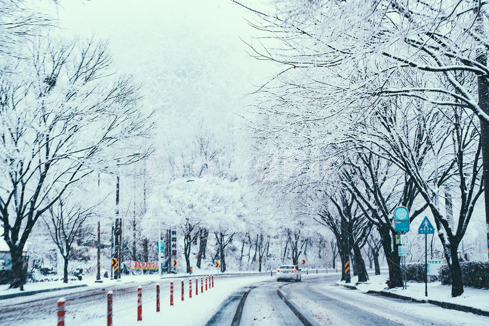 nature,자연,outdoors,옥외,storm,폭풍,snow,눈,winter,겨울,blizzard,눈보라,vehicle,차량,transportation,교통,car,차,automobile,자동차,겨울,계절,winter,season