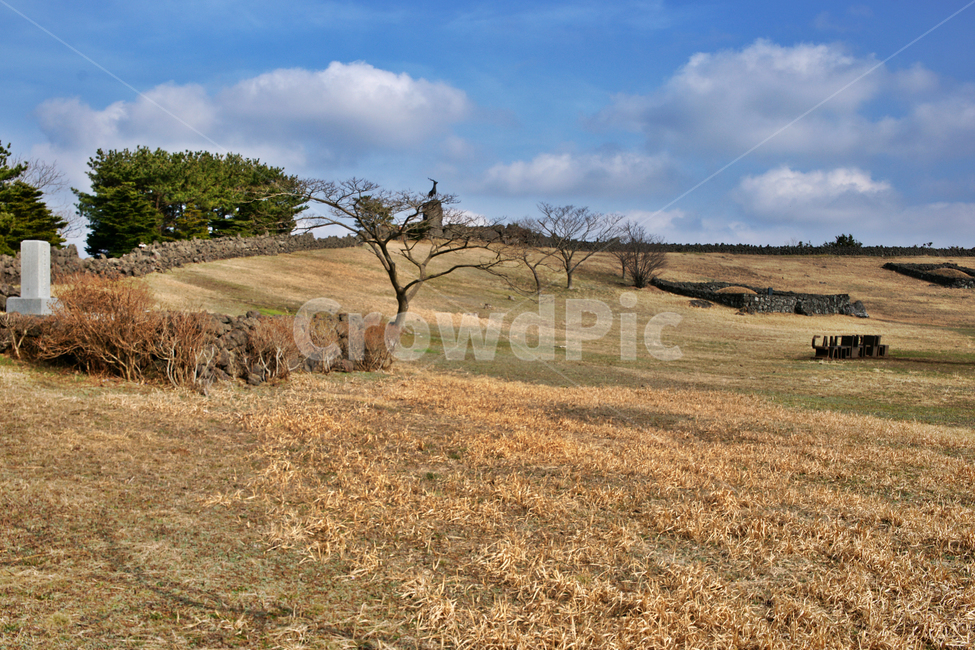 산굼부리,제주,관광지,천연기념물제263호,굼부리,마르,무덤,돌담,푸른하늘,언덕,자연,풍경,nature,landscape,제주도,jeju,jeju island,outdoors,옥외,grassland,목초지,field,들,savanna,대초원