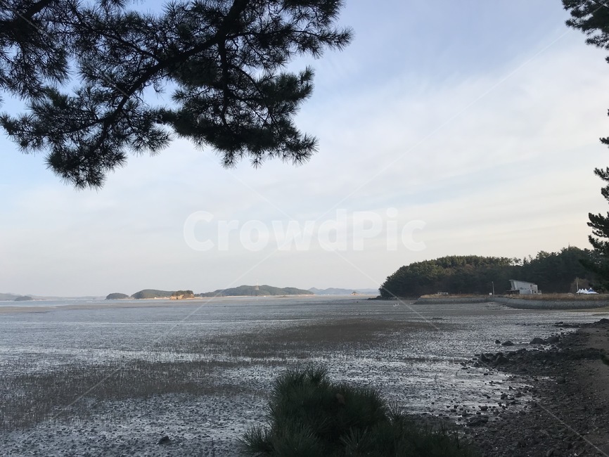 바다,자연,하늘,파란하늘,겨울,갯벌