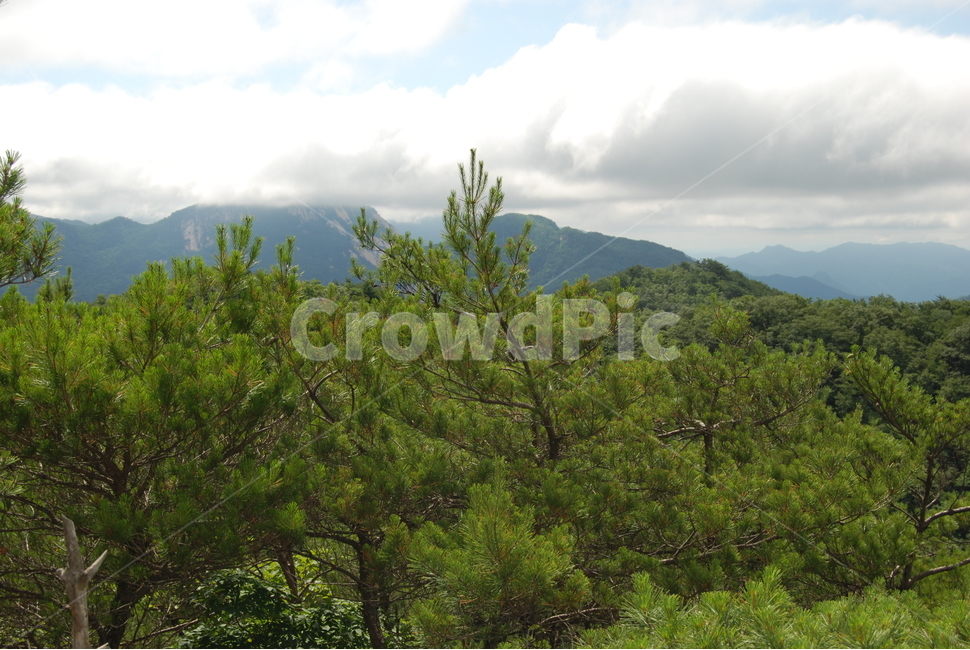 산,자연,여름,하늘,구름,나무,자연,풍경,nature,landscape,outdoors,옥외